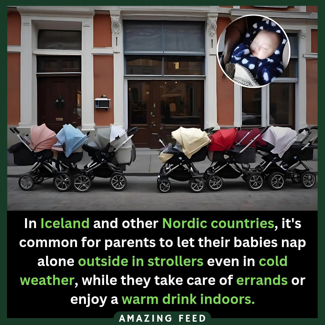 DYK935.jpg