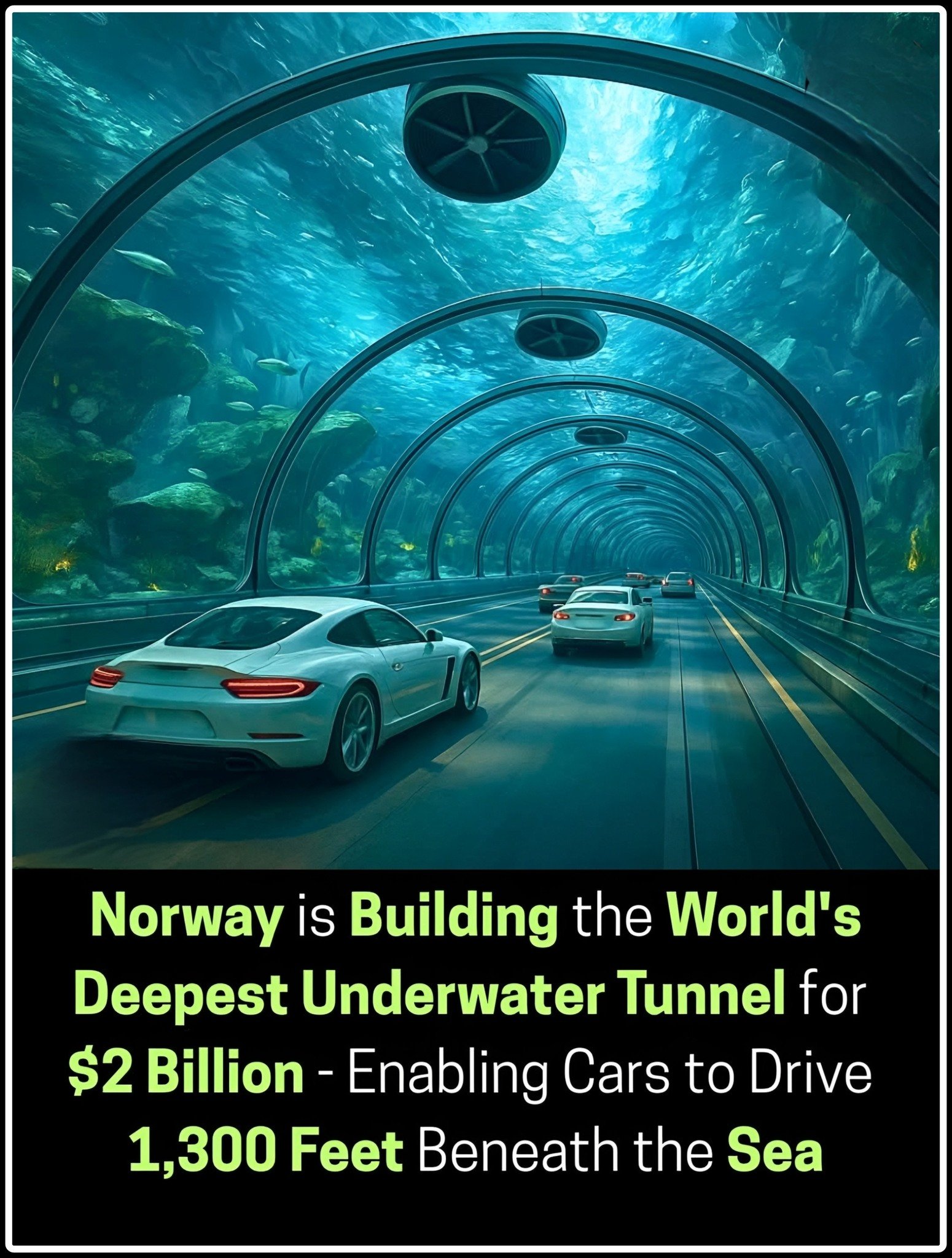 DYK945.jpg
