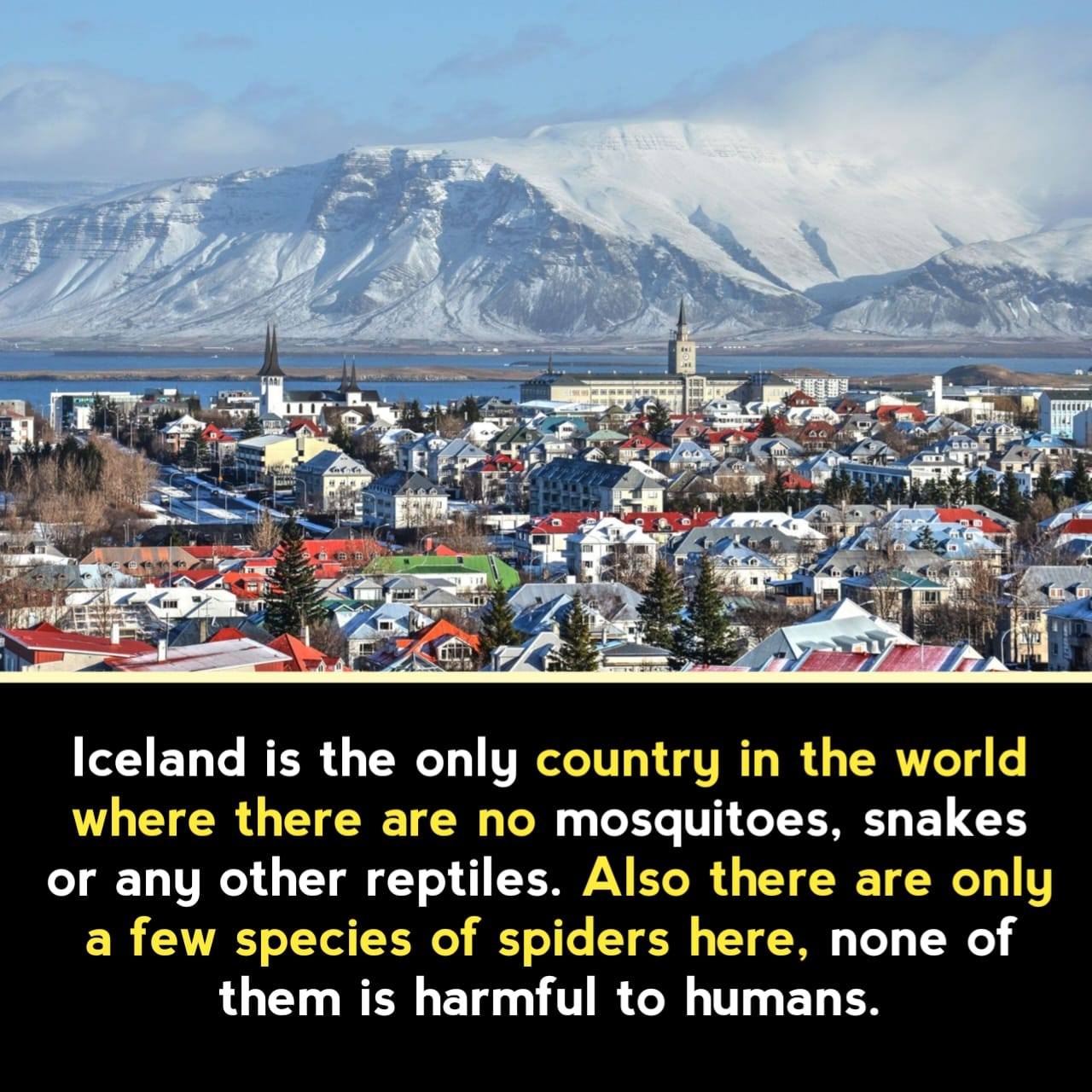 DYK948.jpg