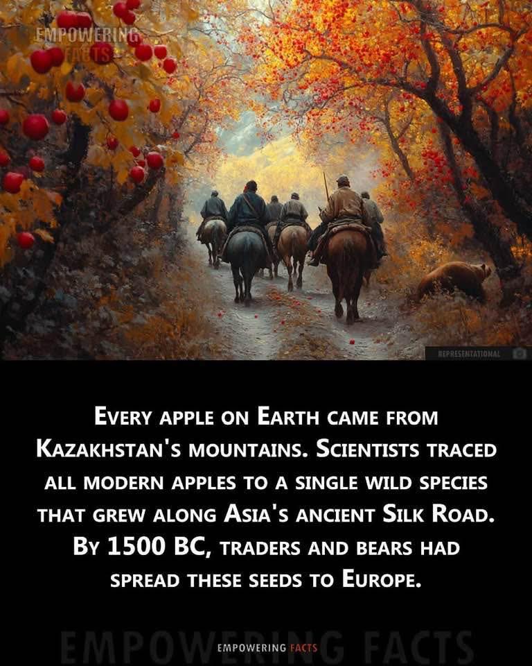 DYK954.jpg