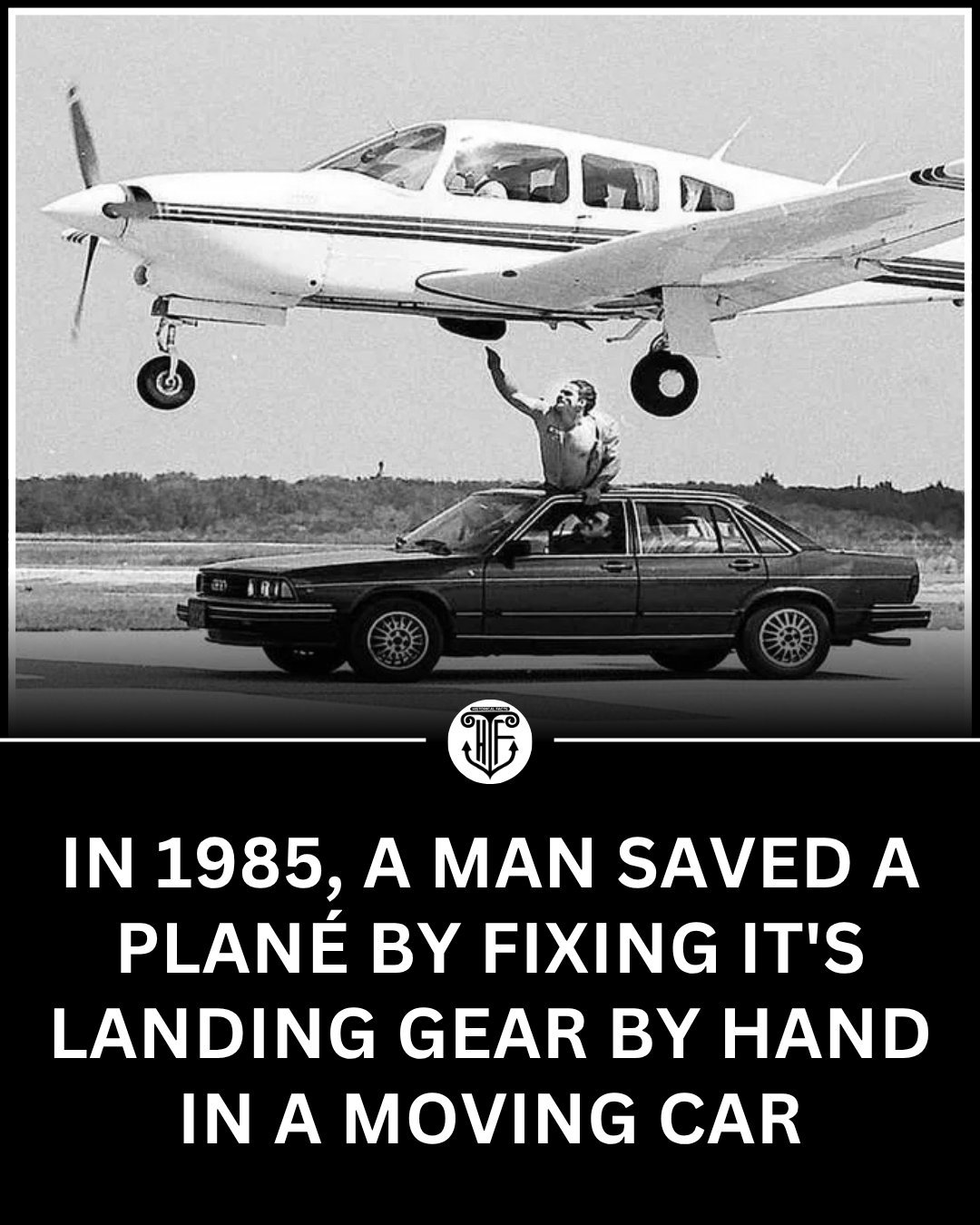 DYK969.jpg