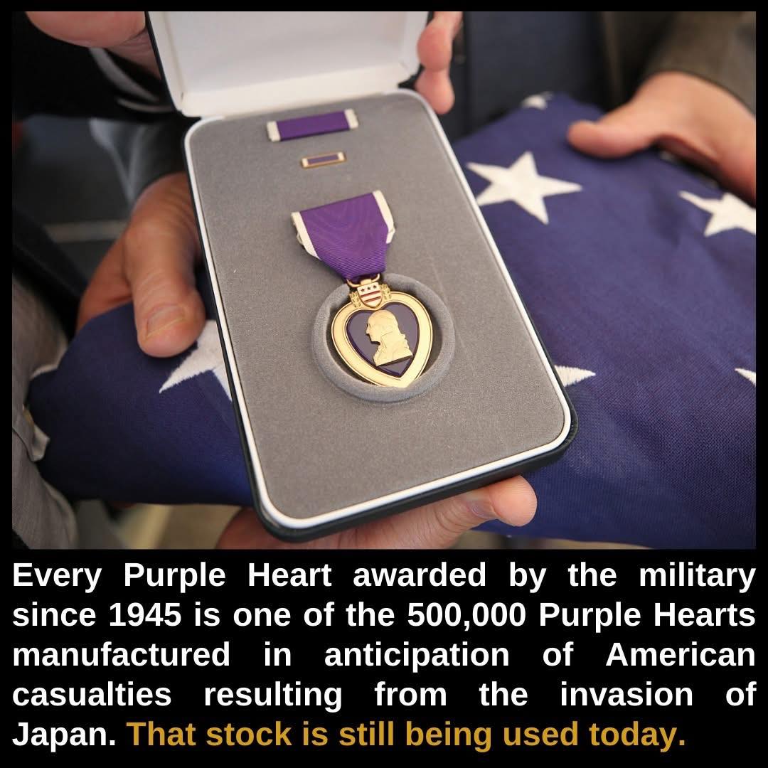 DYK972.jpg