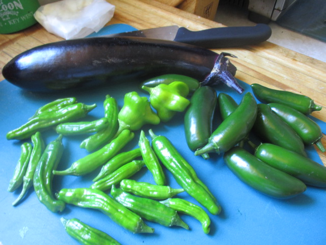 First pepper harvest.JPG