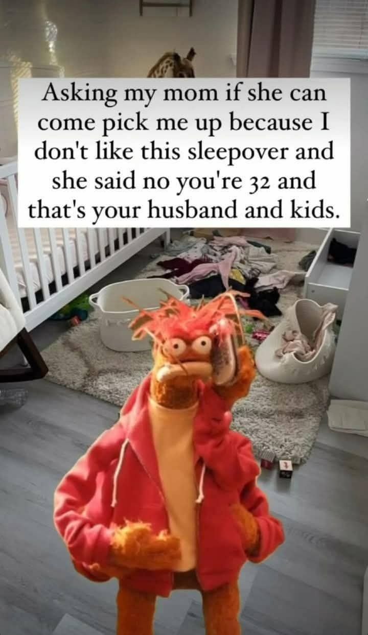 Funny886.jpg