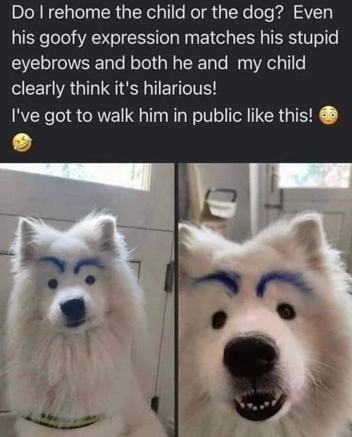 Funny933.jpg