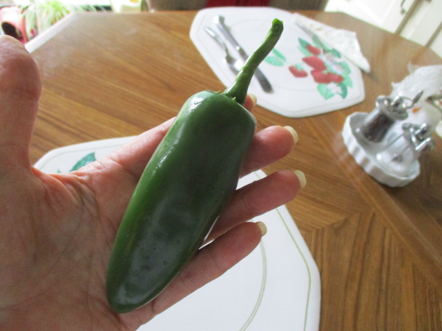 Giant jalapeno.JPG