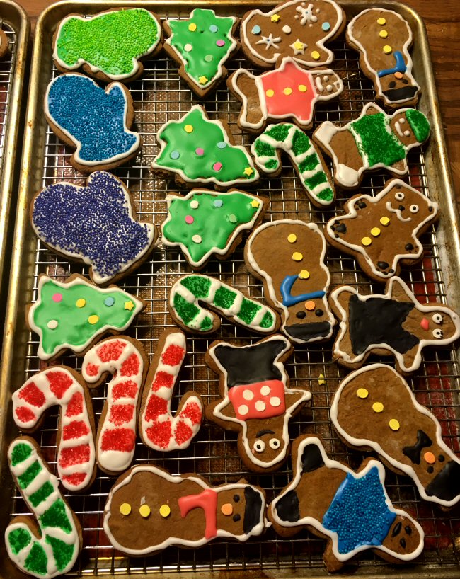 gingerbread_cookies_decorated_121920_2_IMG_7469.JPG