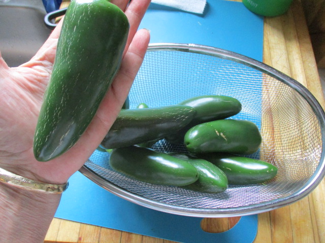 Huge jalapenoes.JPG