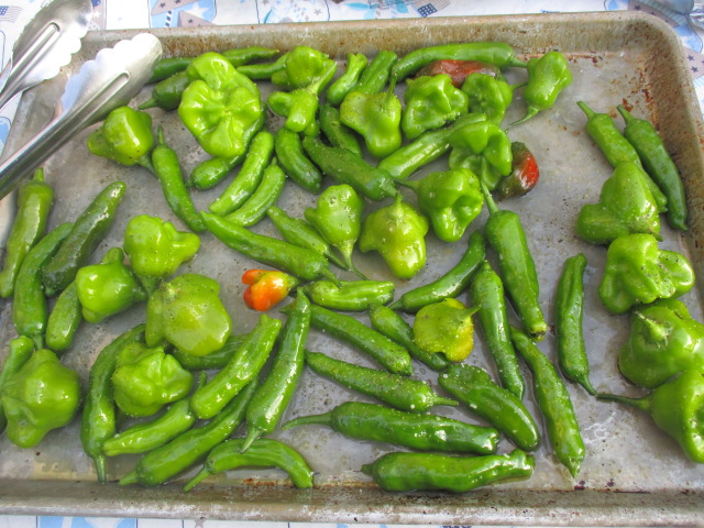 peppers 1.JPG