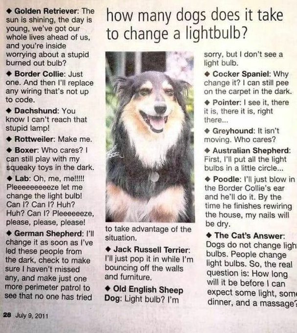 pets95.jpg