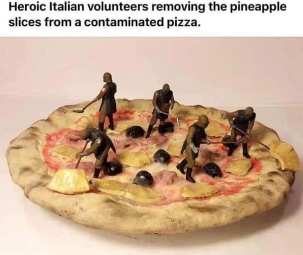 Pineapple pizza.jpg