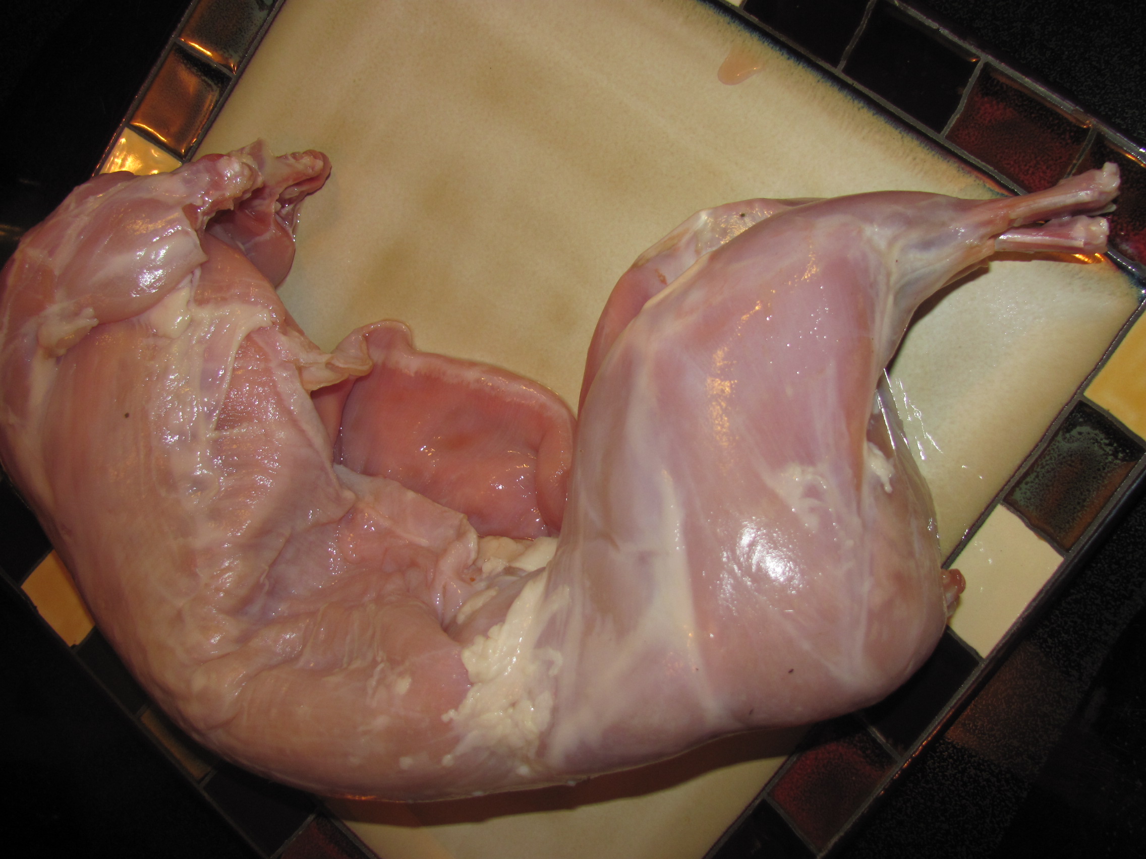 Rabbit in Waiting.JPG