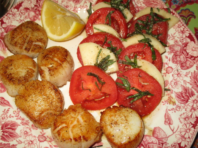 Scallops 1.JPG