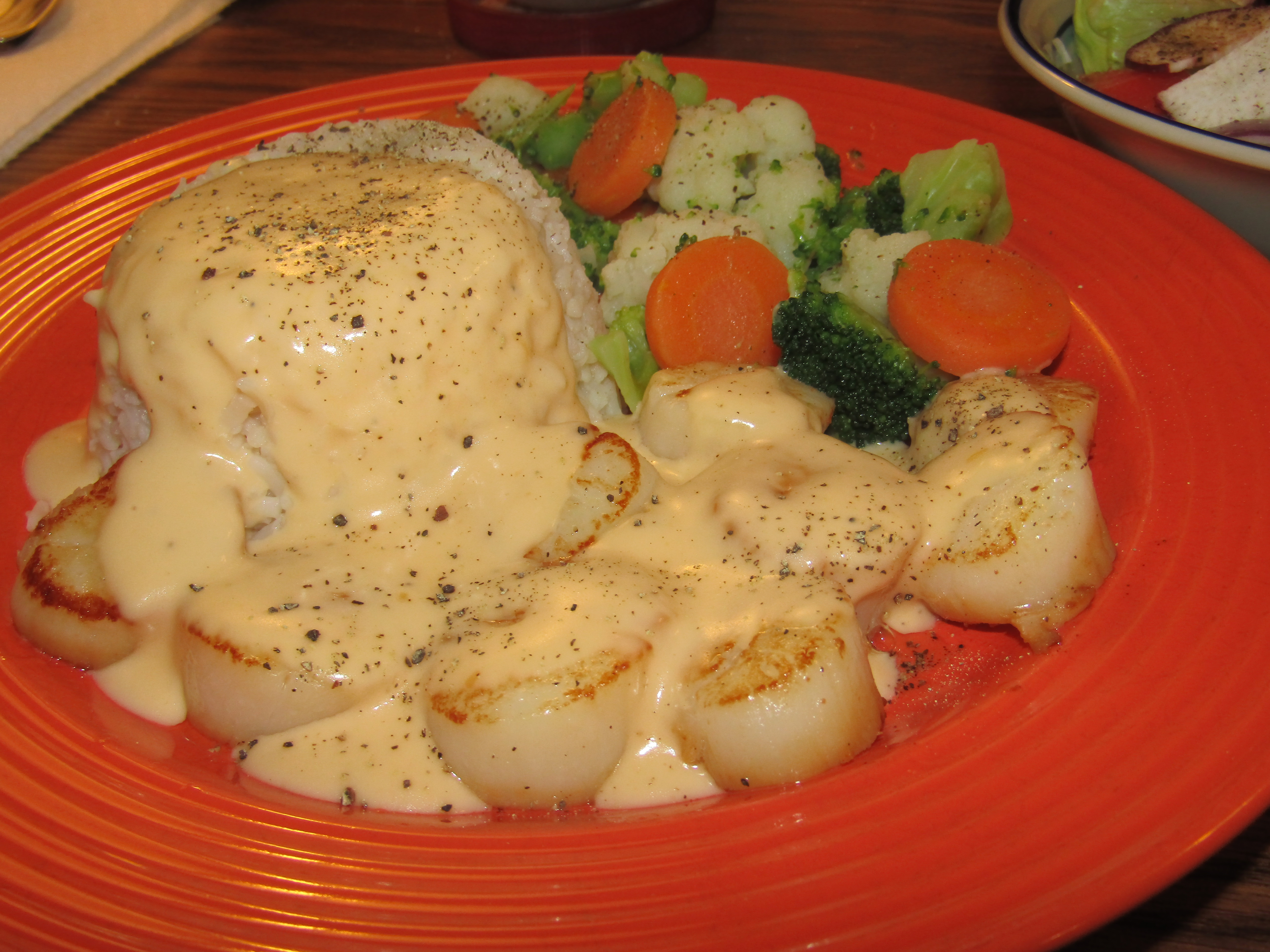 Scallops under Cheddar sauce.JPG