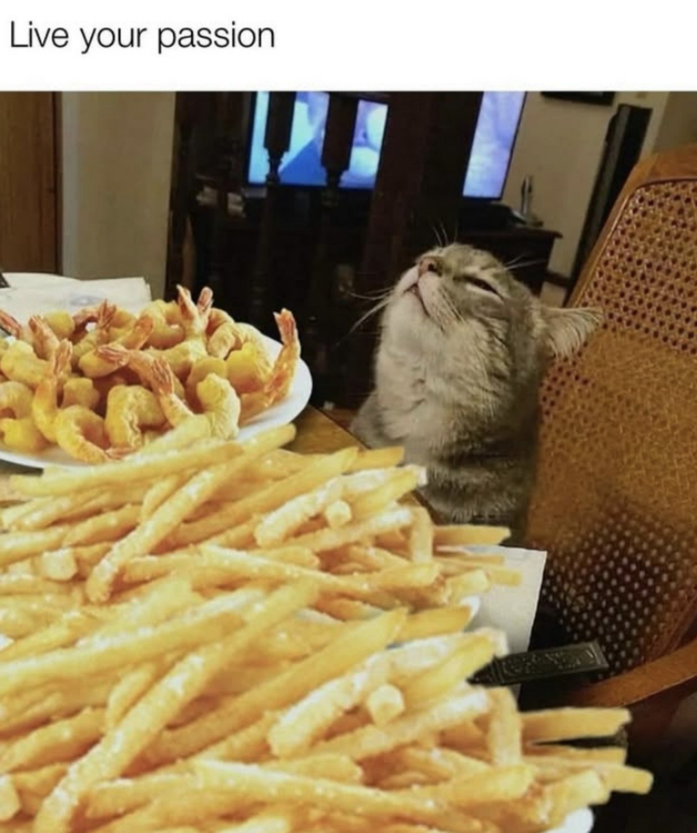 Screenshot 2025-11-22 210457.jpg