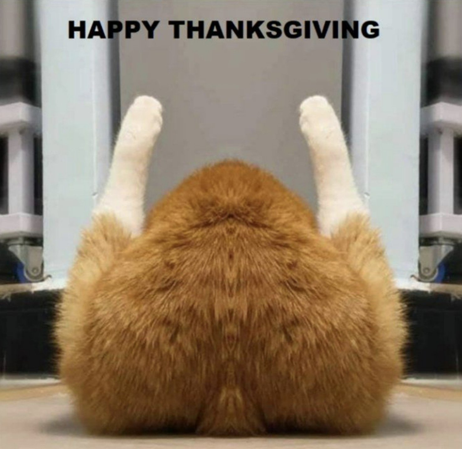 Screenshot 2025-11-22 210626.jpg