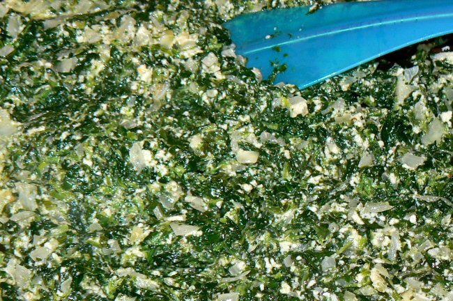 spinach_pie_072609_2_P1030576.JPG