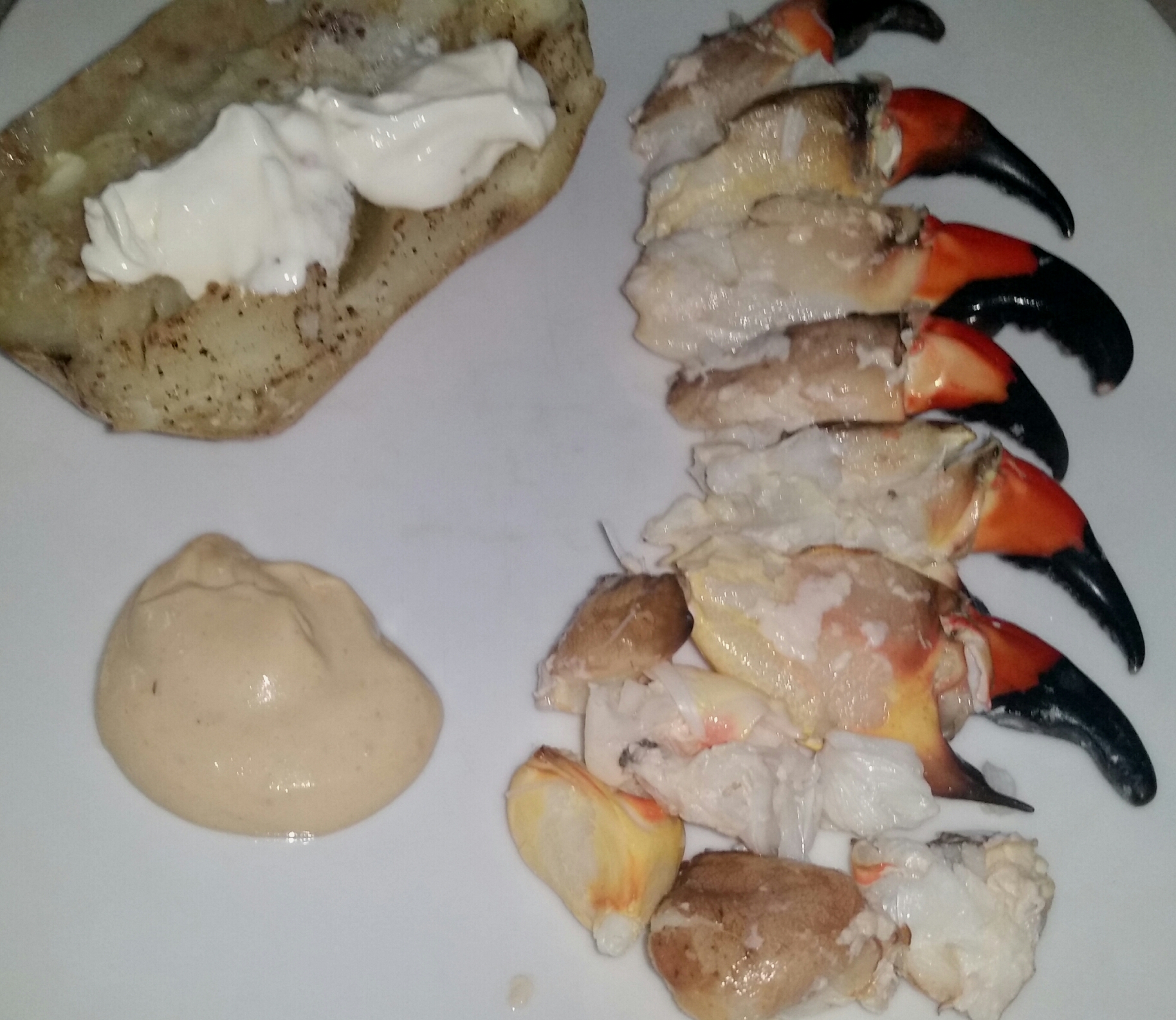 stone crab.jpg