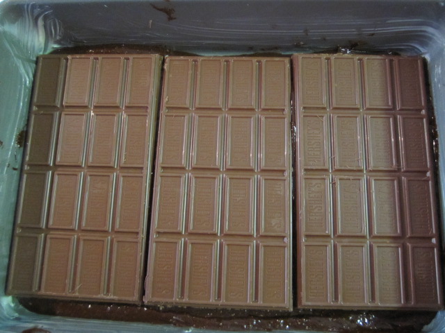 Symphony brownies 1.JPG