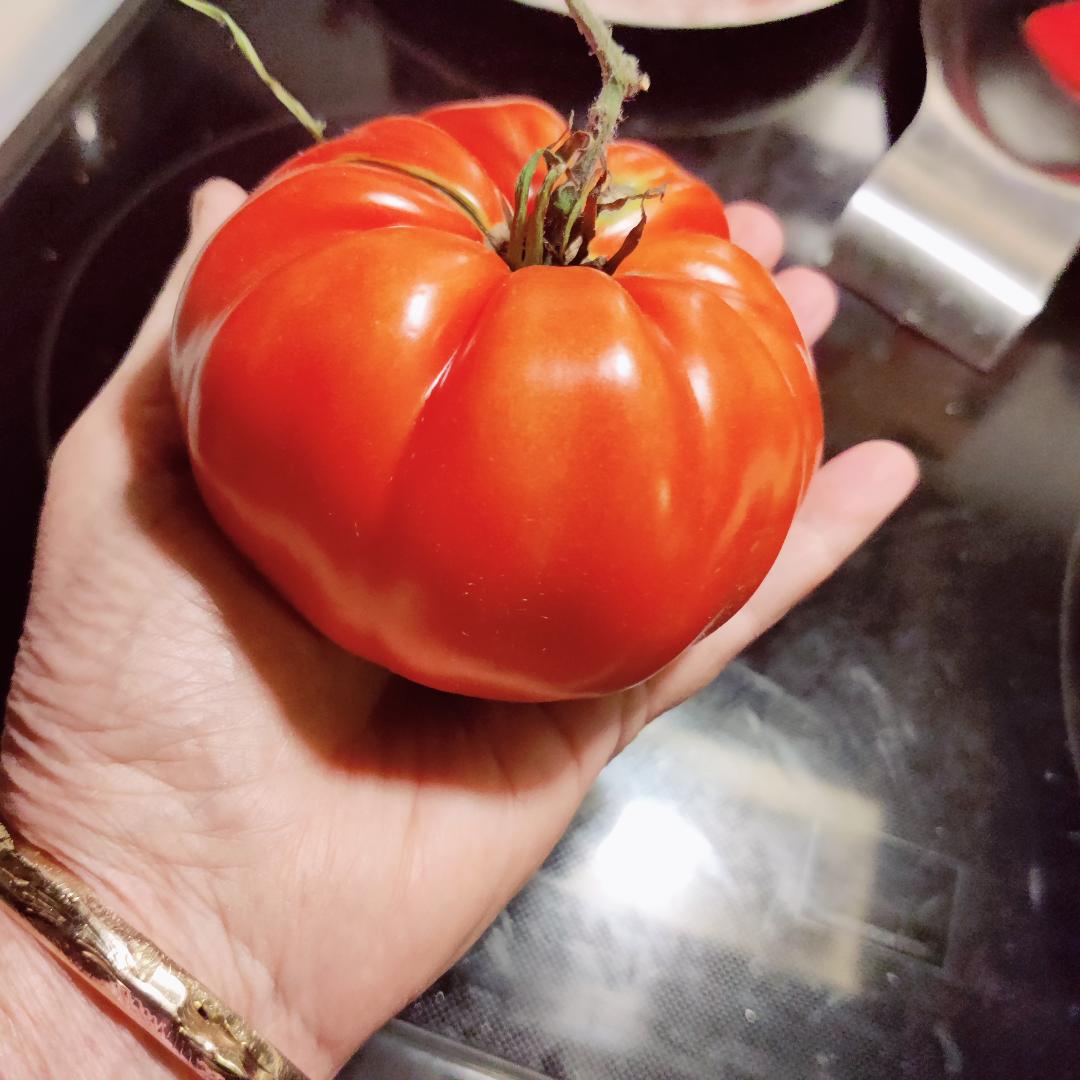 Tomato.jpg