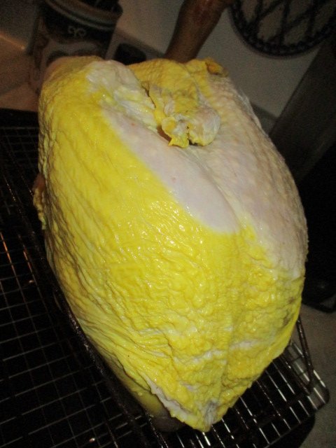 Turkey brined.JPG