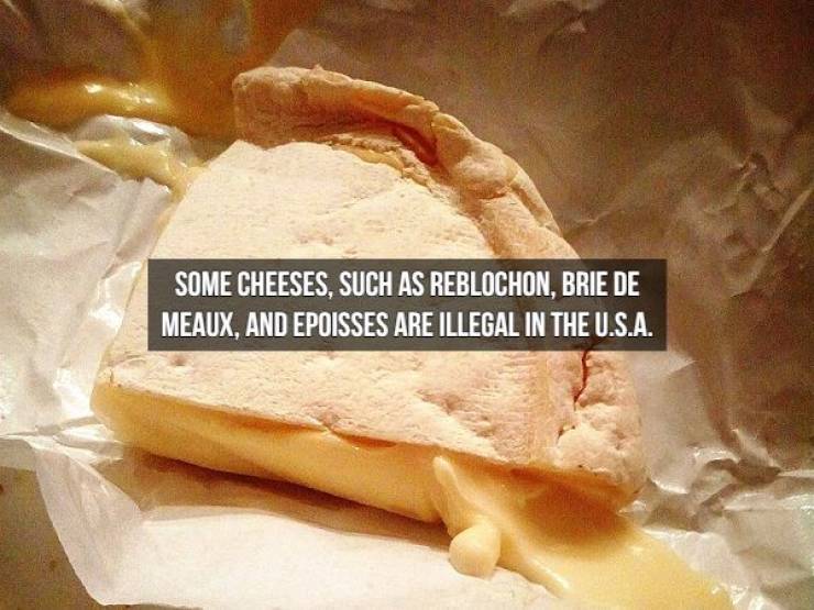 we_will_need_even_more_cheese_for_these_cheese_facts_640_19.jpg