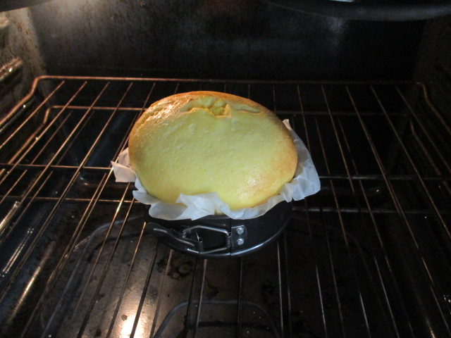 Yogurt cake 1, puffed.JPG