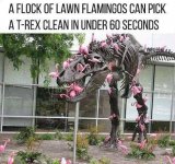 Flamingoes.jpg