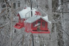 DSC_2623.jpg