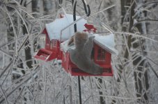 DSC_2624.jpg