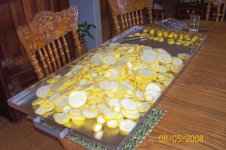 Sliced squash (600 x 399).jpg