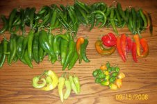 Peppers (600 x 399).jpg