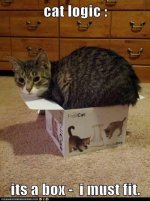 Logical Cat.jpg