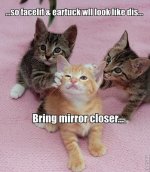 plasticsurgeryLOLcat.jpg