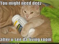 cat_needthese.jpg