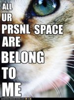 cat_space.jpg