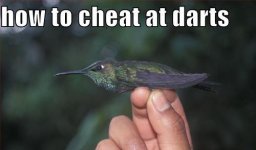 funny-pictures-how-to-cheat-at-darts.jpg