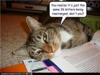 cat_letters.jpg