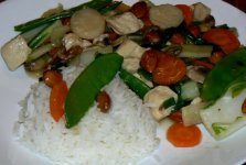 sub_gum_chicken_jasmine_rice_032510_1_P1050446.JPG