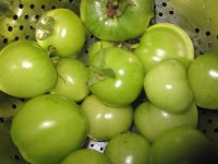 Green tomatoes.JPG