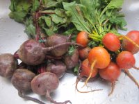 Beets 1, whole.JPG