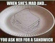 Paper plate sandwich_1534951821621.jpg