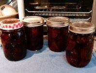 #######Beet Pickle II.jpg