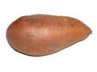 yam!.jpg