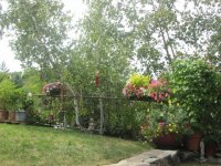 Garden 2.JPG