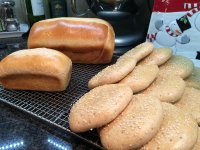 Whole Wheat Egg Bread & Thins.jpg