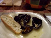 mussels in pernod 3.jpg