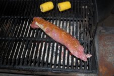 DSC_0019 [].JPG