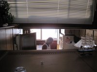 IMG_2203r.JPG