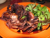 Seared Octopus Appetizer.jpg